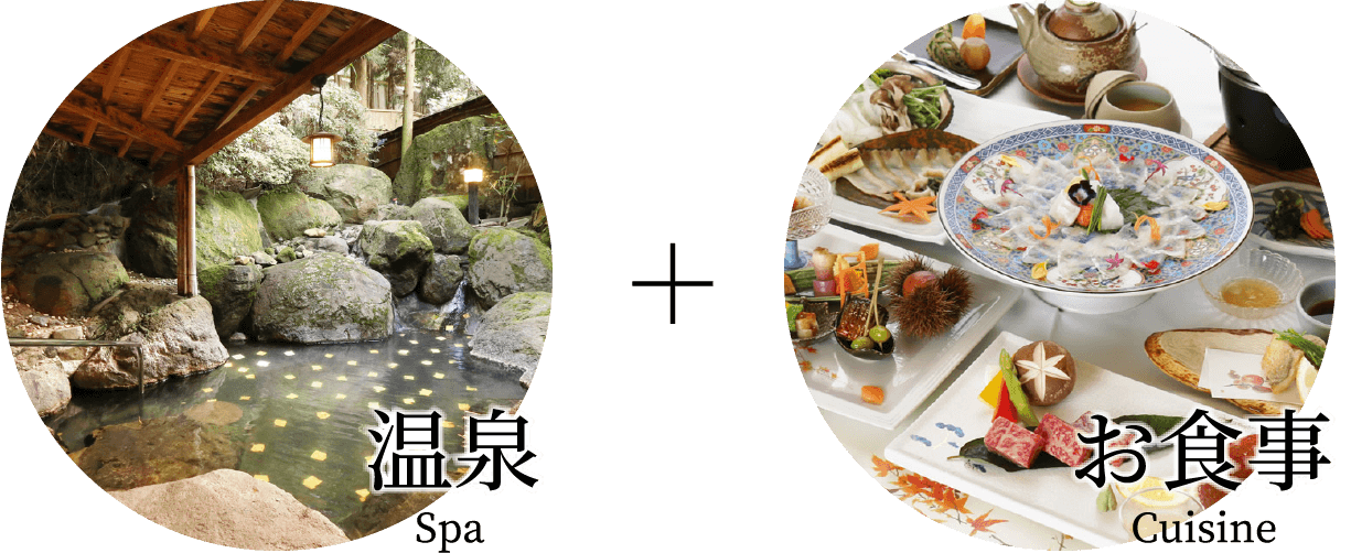 お食事プランについて